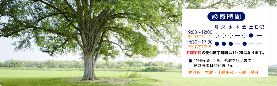 平成27年5月25日 新規開院